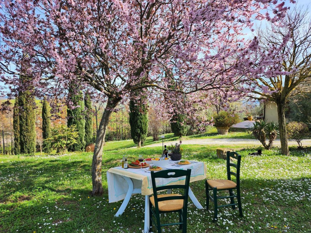 Agriturismo Lucertola Montecatini Val di Cecina Extérieur photo